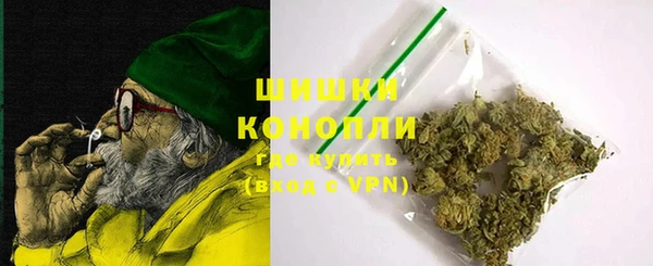 стафф Бородино