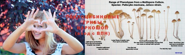 гидра Бугульма