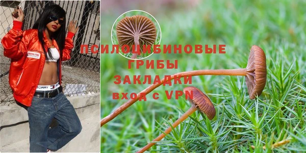 стафф Бородино