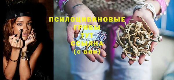 бошки Богородицк